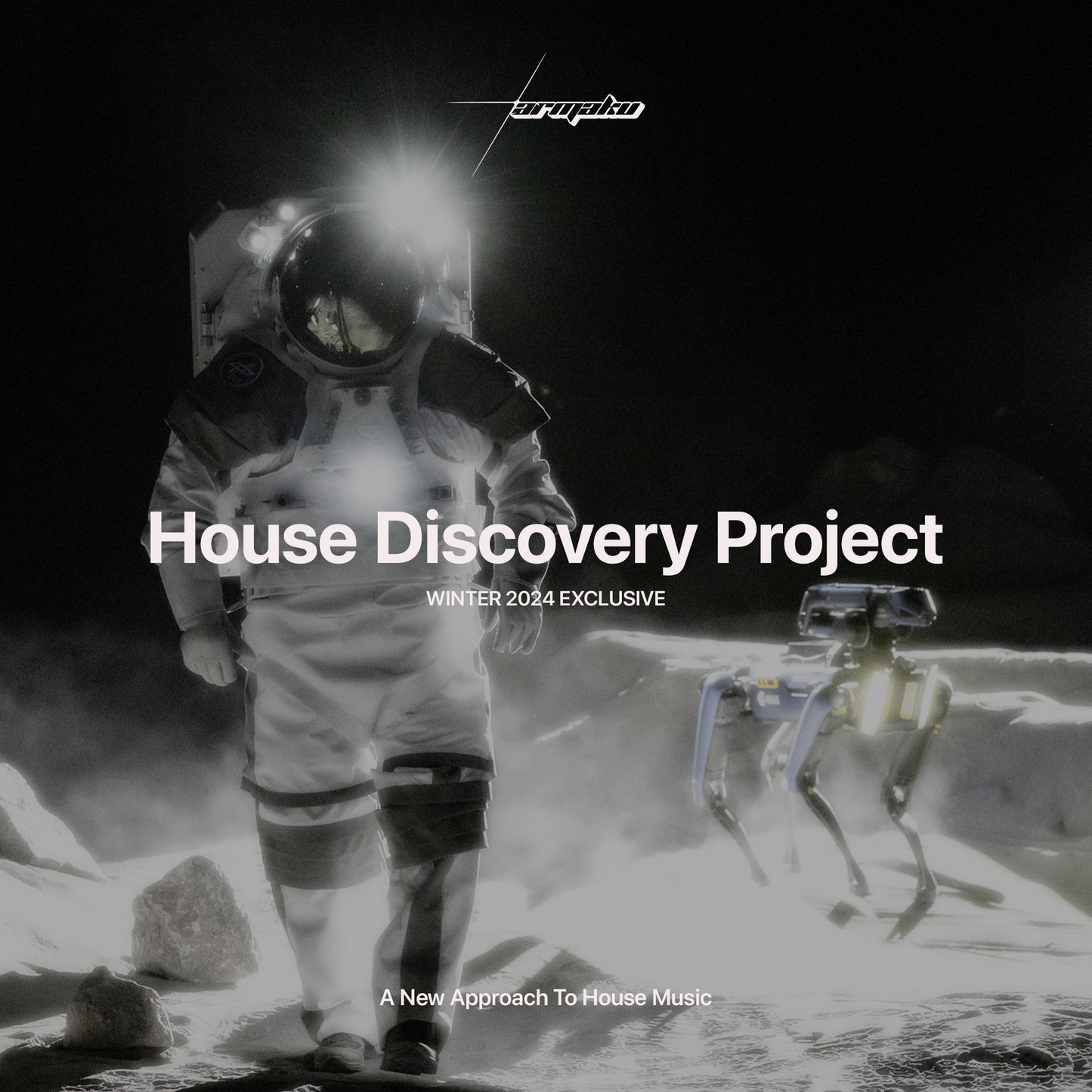 House Discovery Project (Winter 2024 Exclusive Release)